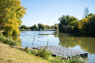 A tó vízminőségét javító lebegő szökőkutak egyszerre szolgálnak műszaki megoldásként és látványos tájépítészeti elemként.